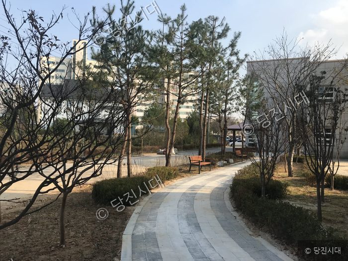 남부노인복지회관 내부에 조성된 나눔숲 산책로와 벤치의 모습이다.