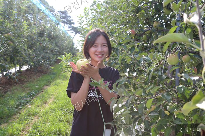 성은영 대표가 사과 농장에서 수확한 사과를 들어 보이고 있다.