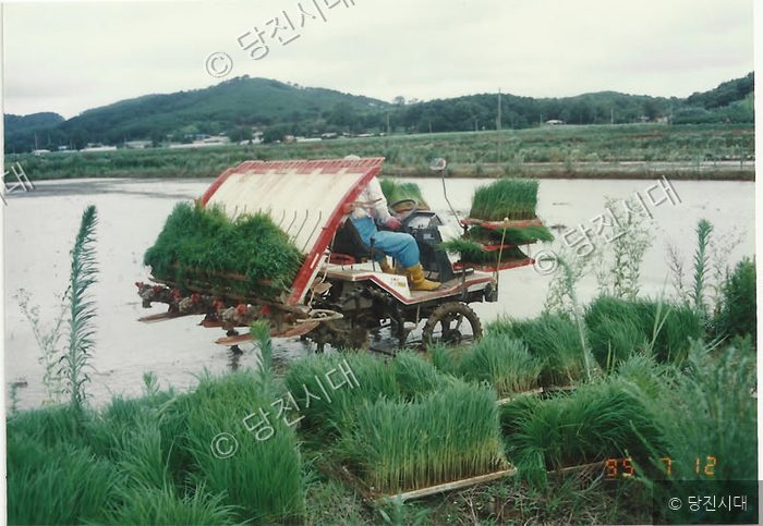 농부가 모내기 기계를 타고 논에 모를 심고 있다.