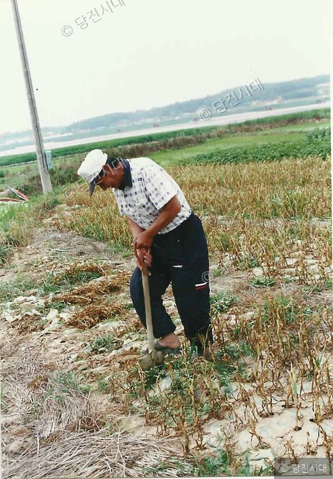 한 농부가 밭에서 삽으로 땅을 일구고 있다.