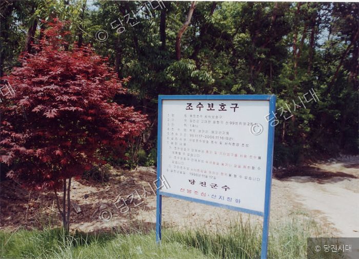 숲속 공터에 붉은 단풍나무와 함께 조수보호구 안내판이 세워져 있다.