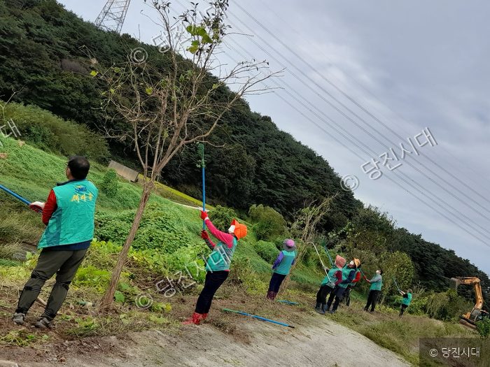 새마을운동중앙회(SMU) 조끼를 입은 주민들이 당진시 송산면에서 환경정화 활동을 하고 있다.