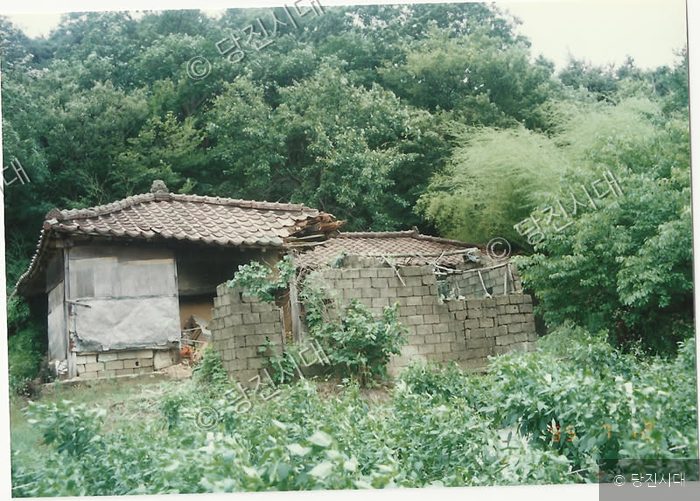 충남 당진에 위치한 이종린 생가의 허물어진 모습이 보인다.