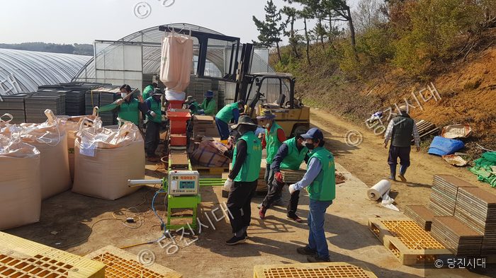 당진시 고대면 새마을지도자들이 영농 부산물 처리 봉사활동을 하고 있다.