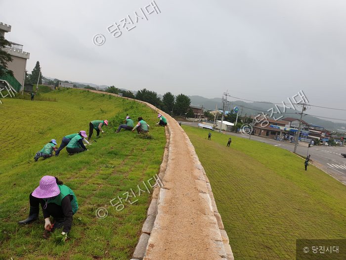 마을 주민들이 도로변 풀베기 및 환경정화 활동을 하고 있다.