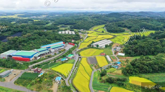 당진의 마을과 논이 어우러진 풍경을 위에서 내려다보고 있다.