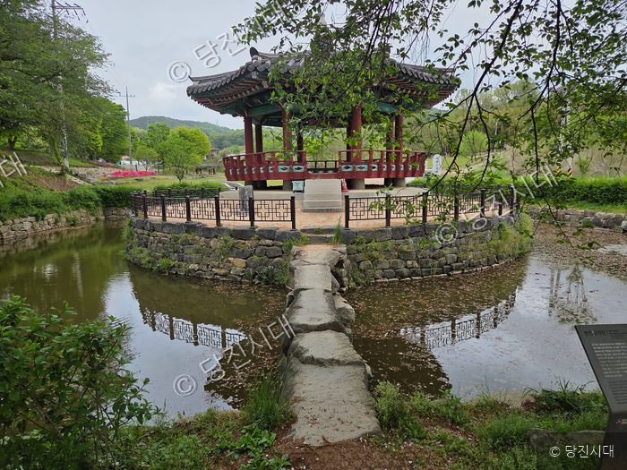 당진 면천면의 역사 유적인 군자지와 군자정이 연못 가운데 세워져 있다.