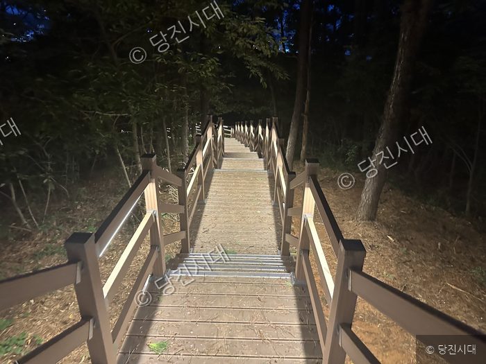 당진시 채운공원에 새로 설치된 안전시설인 목재데크 계단이 보이고 있다.