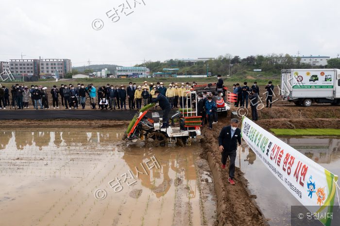 여르미·신품종 씨가 논에서 자율주행 이앙기 시연회를 지켜보고 있다.