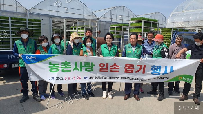 당진농협 임직원과 단체 회원들이 농촌 일손 돕기 행사를 진행하고 있다.