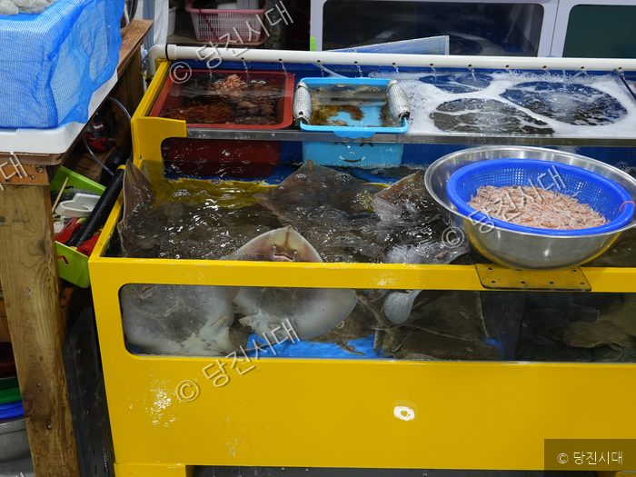 수족관에 다양한 해산물이 가득 담겨 있다.