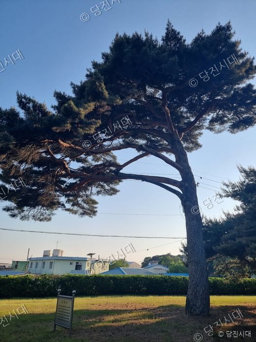 충남 당진시 석문면 교로3리의 풍경이 담겨 있다.