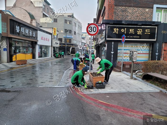 당진1동에서 새마을협의회 회원들이 화단 가꾸기 봉사활동을 하고 있다.