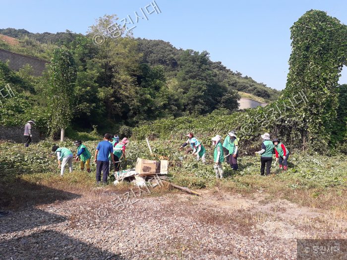 주민들이 마을 공원에서 풀베기 작업을 하고 있다.