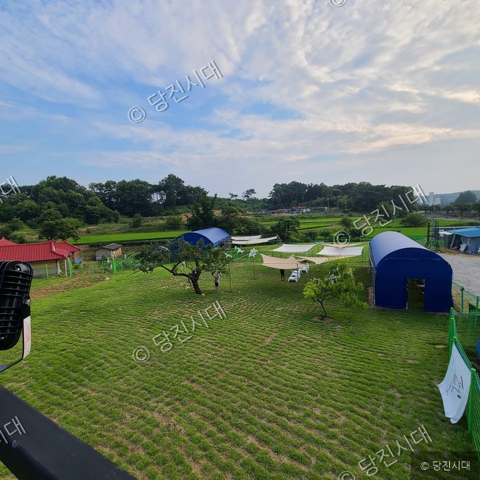 송산면 매곡리에 위치한 반려견 야외 운동장 댕버랜드 전경을 보여주고 있다.