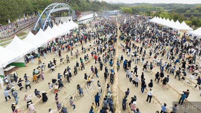 많은 사람들이 기지시줄다리기축제에 참여해 줄을 당기고 있다.