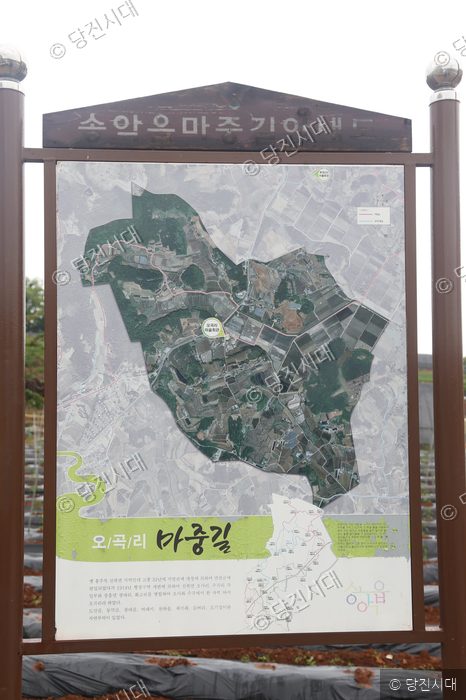 송악읍 오곡리 마중길을 소개하는 안내판이 세워져 있다.