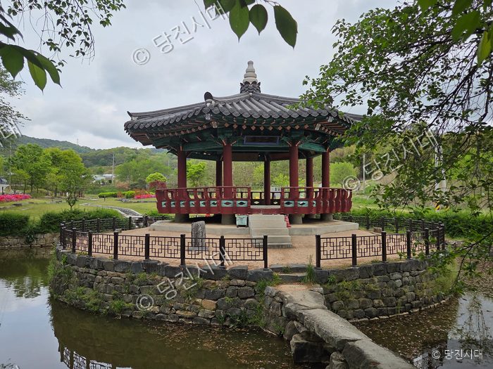 연못 위에 조성된 전통 정자 군자정이 고즈넉한 풍경을 자아내고 있다.