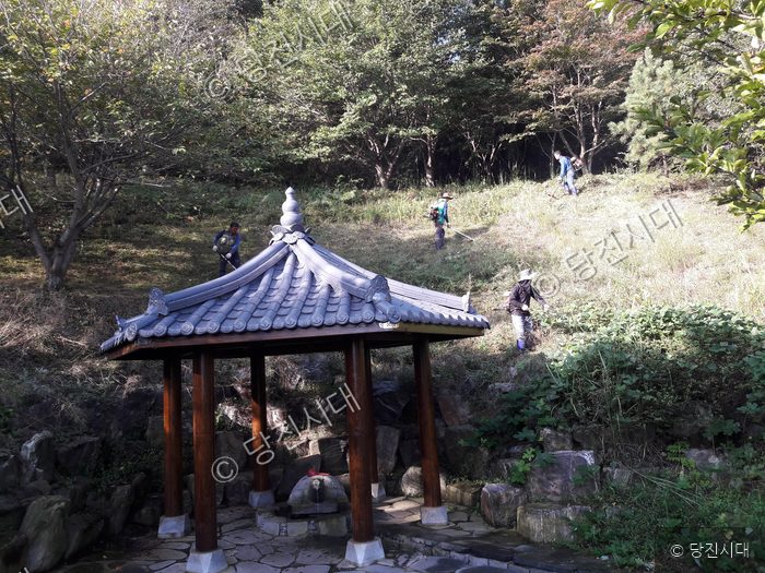 주민들이 송산면에서 마을 주변 풀베기 봉사활동을 하고 있다.