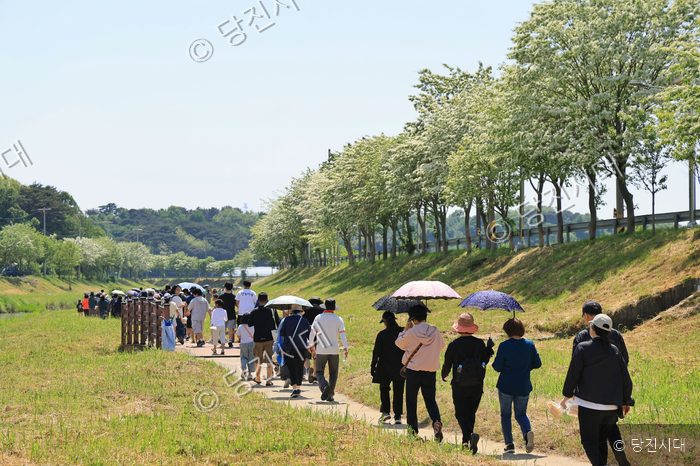 주민들이 당진3동 제7회 이팝나무길 걷기행사에 참여해 걷고 있다.