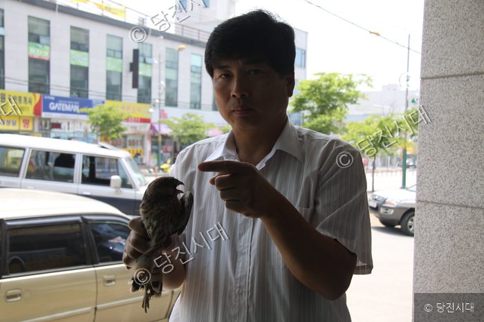 한 남성이 구조한 황조롱이 유조를 들어 보이고 있다.