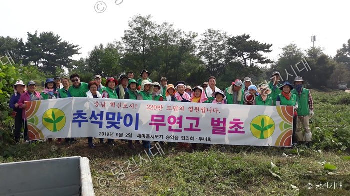 새마을지도자 송악읍 협의회·부녀회가 추석맞이 무연고 벌초를 하고 있다.