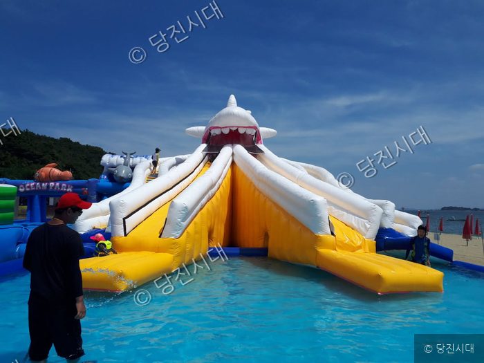 왜목마을 해수욕장에 설치된 대형 상어 모양 물놀이 에어바운스 슬라이드.