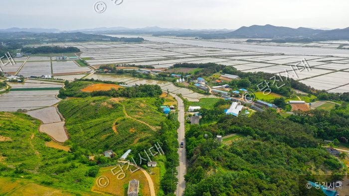 당진의 들판과 논, 그리고 도로가 펼쳐져 있다.