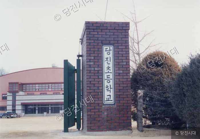 당진초등학교 교문과 교정이 보인다.