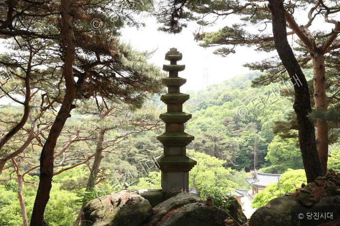 영탑사의 칠층석탑이 숲과 어우러져 세워져 있다.
