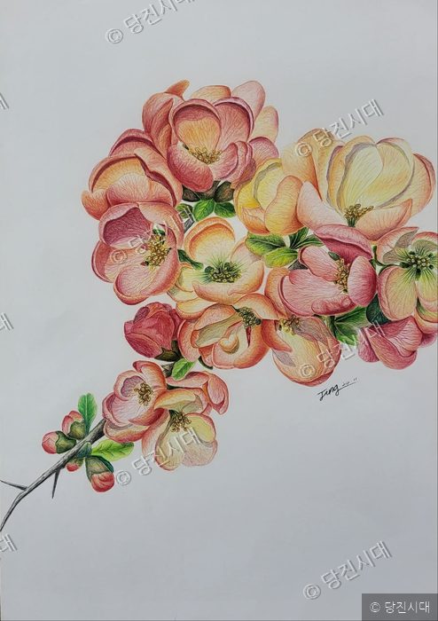 색연필로 세밀하게 그린 꽃 그림 작품이 전시되어 있다.