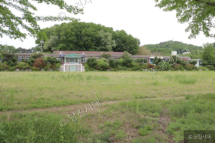 남산초등학교 건물이 풀밭 뒤로 보인다.