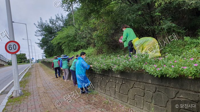 당진2동 새마을 지도자들이 도로변 화단 정리 작업을 하고 있다.