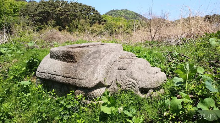 풀밭에 거북 모양의 옛 돌조각이 놓여 있다.