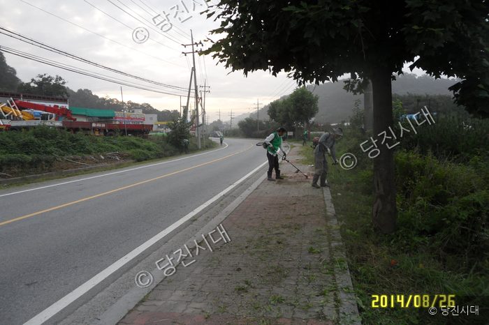 제초 작업반원들이 도로변 인도에서 풀을 깎고 있다.