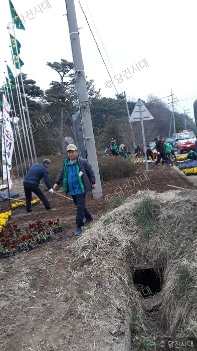 주민들이 도로변 화단에서 꽃을 심는 봉사활동을 하고 있다.