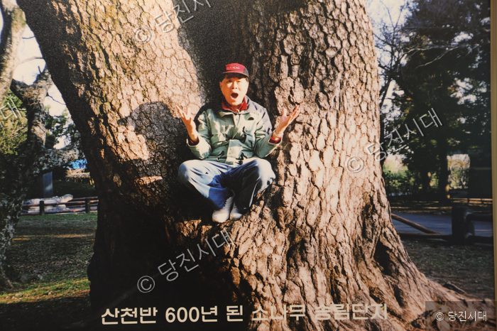 “남는 것은 사진뿐” — 사진 3