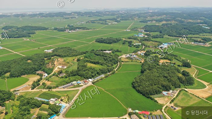 충남 당진시 고대면 당진포2리의 들판과 마을 풍경이 펼쳐져 있다.