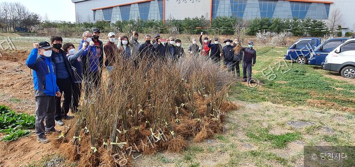 양봉연구회원들이 양봉농가에 보급할 밀원수 묘목을 배경으로 기념 촬영을 하고 있다.