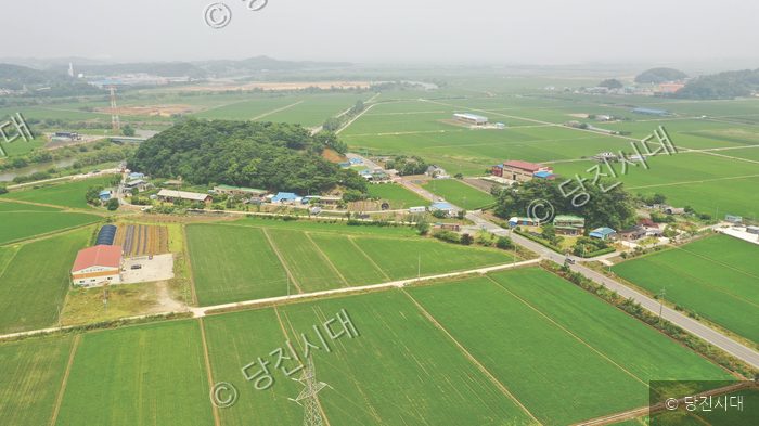 충남 당진시 송산면 오도리의 푸른 논과 마을 풍경이 펼쳐져 있다.