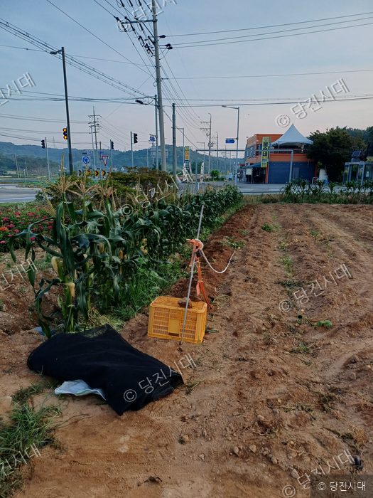 농경지 옆에 농작물과 수확 도구가 놓여 있다.