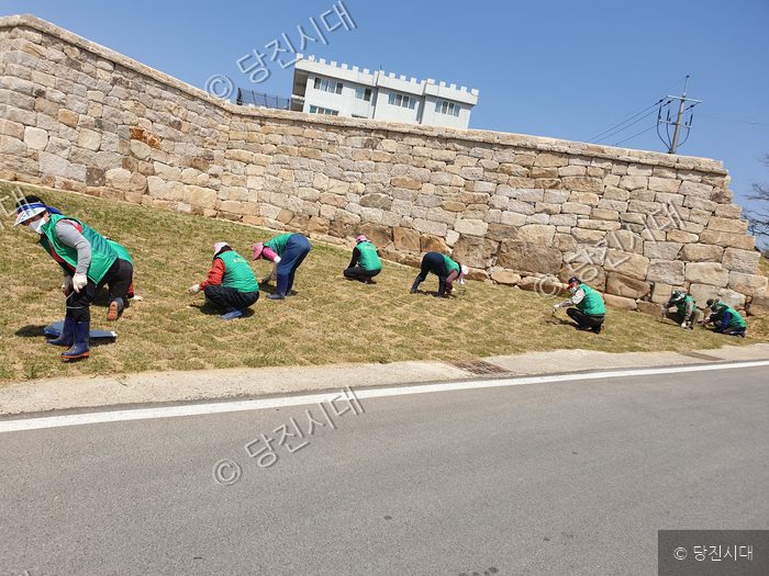 면천읍성 주변 풀밭에서 새마을운동 협의회 회원들이 제초 작업을 하고 있다.