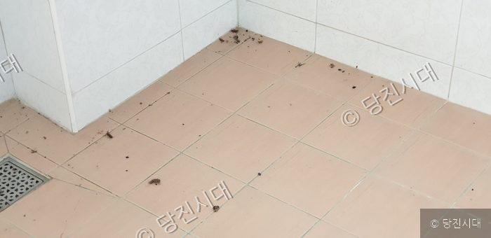 여성의전당 건물 내부에 죽은 벌레 사체들이 방치되어 있다.