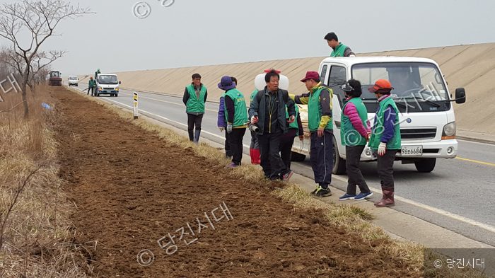 마을 주민들이 도로변에서 새마을 환경 정화 활동을 펼치고 있다.
