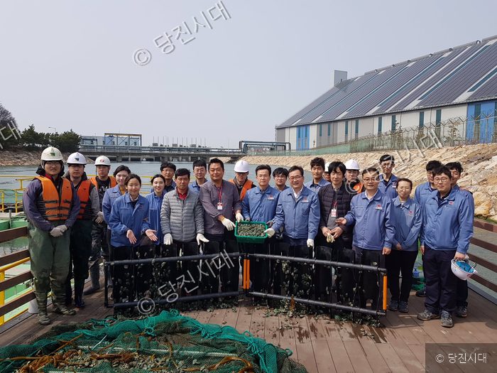 당진화력 관계자들이 어촌계에 온배수 양식 전복을 전달하고 있다.