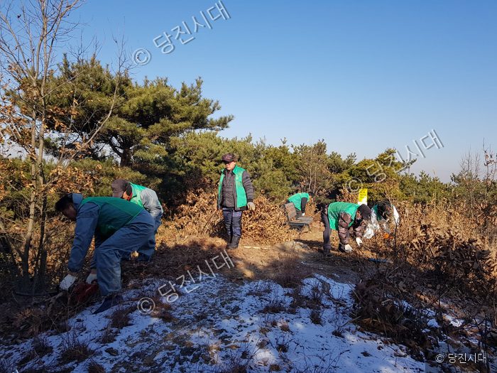 자원봉사자들이 겨울철 산불 예방을 위해 잡목 제거 작업을 하고 있다.
