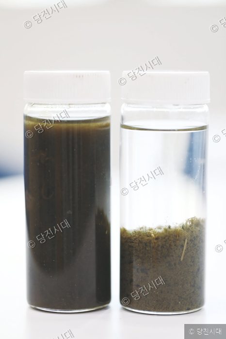 투명한 용기에 담긴 수질 시료 두 개가 나란히 놓여 있다.