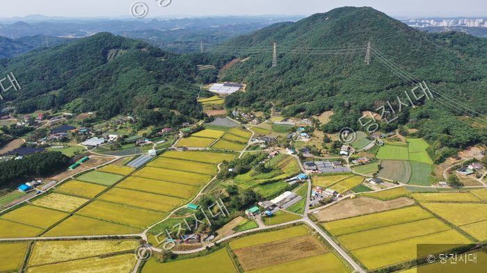 당진시 면천면 송학1리의 마을 전경이 펼쳐져 있다.
