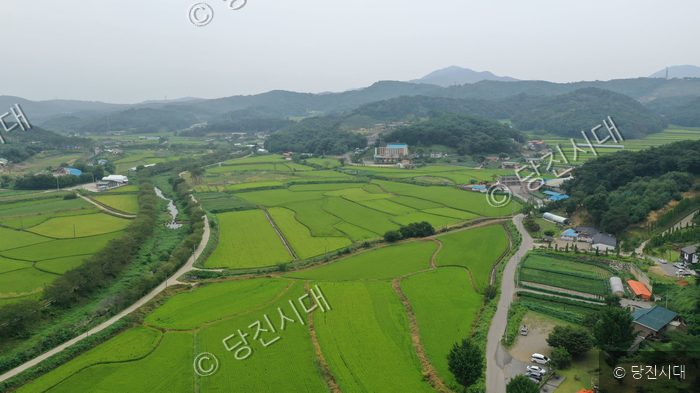 당진시의 초록빛 논과 마을 풍경이 펼쳐져 있다.