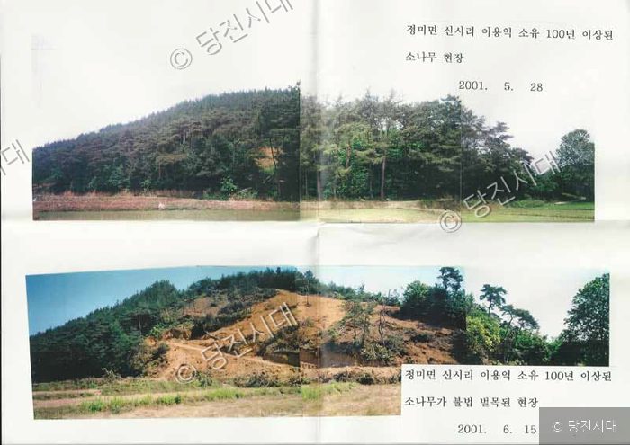 산림이 벌목되어 훼손된 현장을 비교하여 보여주고 있다.